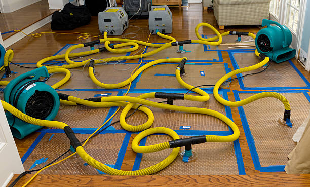 Professional Flood Damage Restoration technician working in Hayfield, VA